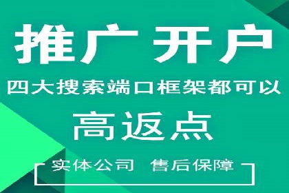 SEM竞价托管代运营助力转化率提升